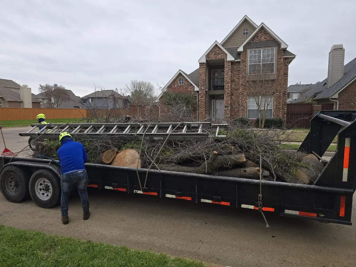 Expert Lot Clearing with proper safety equipment in Bethel